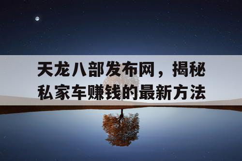 天龙八部发布网，揭秘私家车赚钱的最新方法
