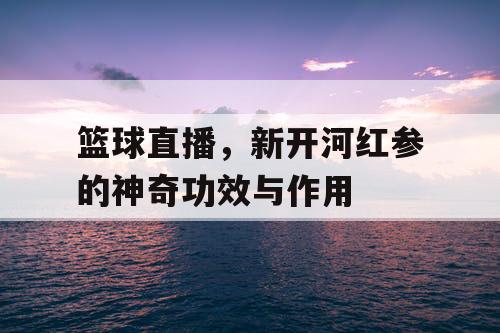 篮球直播，新开河红参的神奇功效与作用
