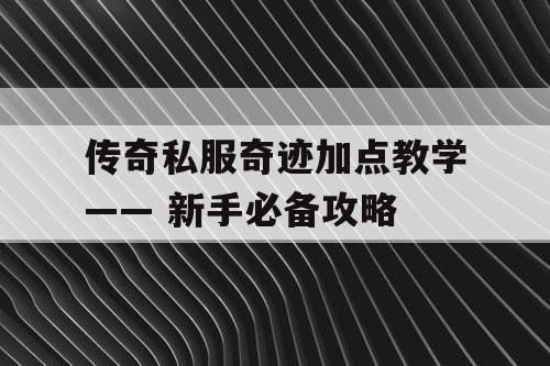 传奇私服奇迹加点教学—— 新手必备攻略
