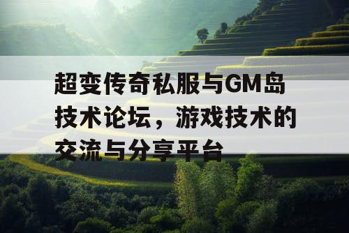超变传奇私服与GM岛技术论坛，游戏技术的交流与分享平台