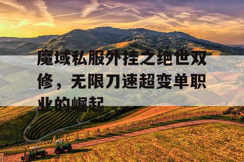 魔域私服外挂之绝世双修，无限刀速超变单职业的崛起
