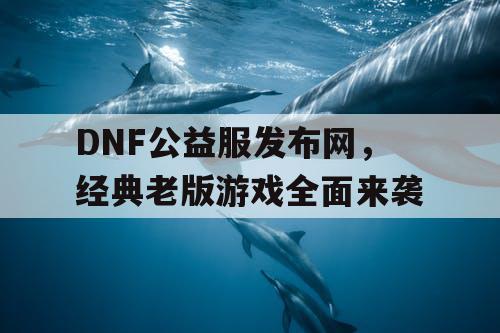 DNF公益服发布网，经典老版游戏全面来袭