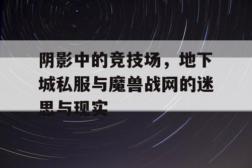 阴影中的竞技场，地下城私服与魔兽战网的迷思与现实