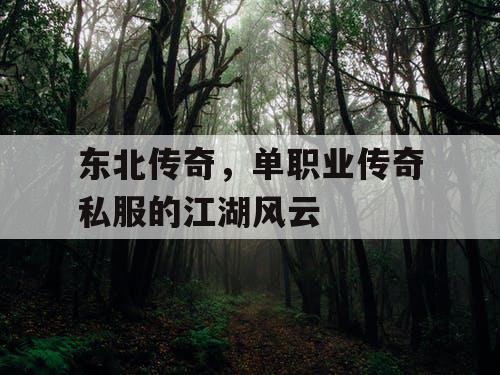 东北传奇，单职业传奇私服的江湖风云