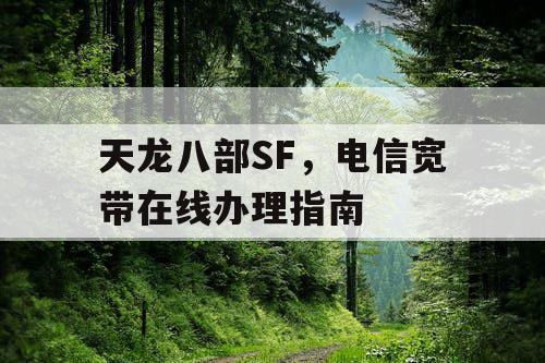天龙八部SF，电信宽带在线办理指南