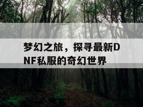 梦幻之旅，探寻最新DNF私服的奇幻世界
