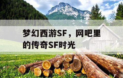 梦幻西游SF，网吧里的传奇SF时光