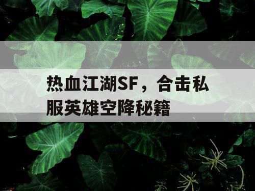 热血江湖SF，合击私服英雄空降秘籍