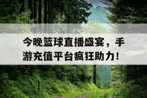今晚篮球直播盛宴，手游充值平台疯狂助力！