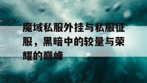 魔域私服外挂与私服征服，黑暗中的较量与荣耀的巅峰