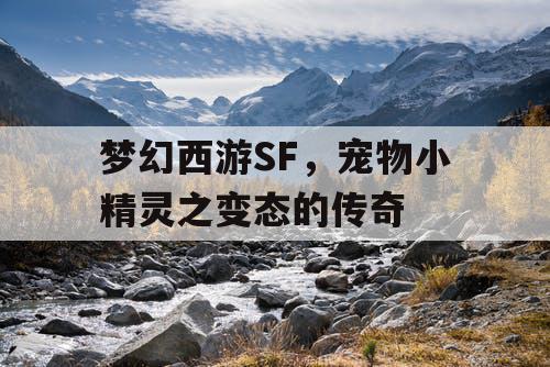 梦幻西游SF，宠物小精灵之变态的传奇