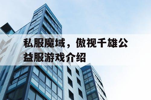 私服魔域，傲视千雄公益服游戏介绍