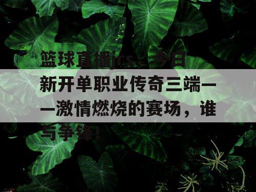 篮球直播jrs，今日新开单职业传奇三端——激情燃烧的赛场，谁与争锋！