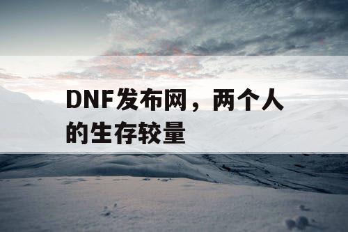 DNF发布网，两个人的生存较量