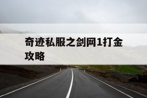 奇迹私服之剑网1打金攻略