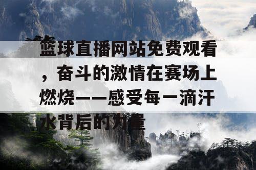 篮球直播网站免费观看，奋斗的激情在赛场上燃烧——感受每一滴汗水背后的力量