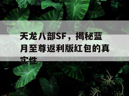 天龙八部SF，揭秘蓝月至尊返利版红包的真实性