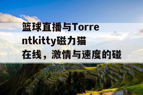 篮球直播与Torrentkitty磁力猫在线，激情与速度的碰撞