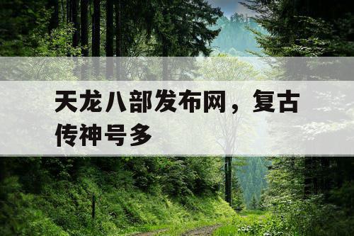 天龙八部发布网，复古传神号多