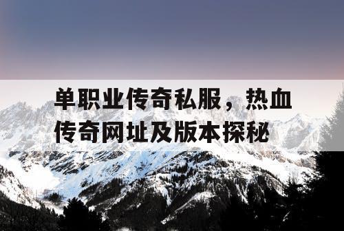 单职业传奇私服，热血传奇网址及版本探秘