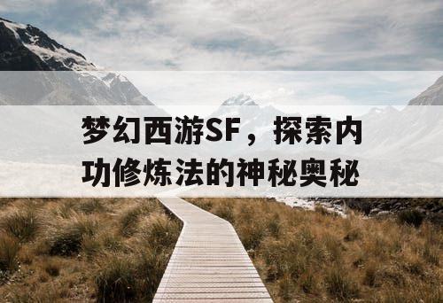 梦幻西游SF，探索内功修炼法的神秘奥秘