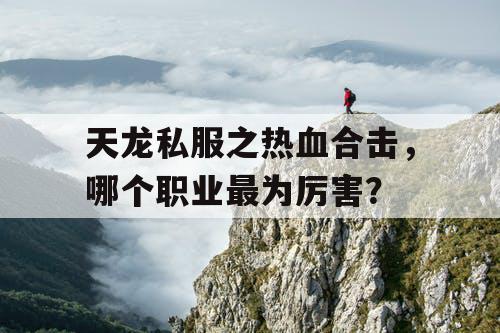 天龙私服之热血合击，哪个职业最为厉害？