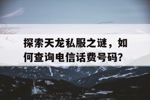 探索天龙私服之谜，如何查询电信话费号码？