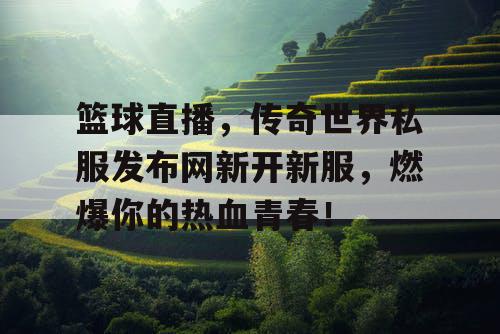 篮球直播，传奇世界私服发布网新开新服，燃爆你的热血青春！