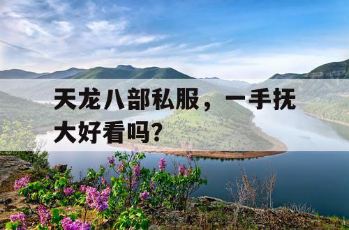 天龙八部私服，一手抚大好看吗？