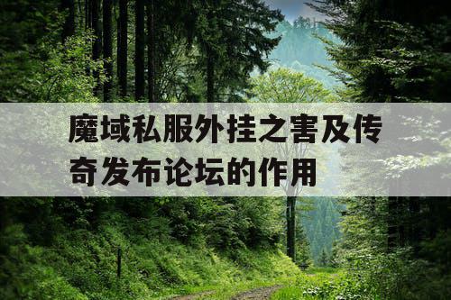 魔域私服外挂之害及传奇发布论坛的作用