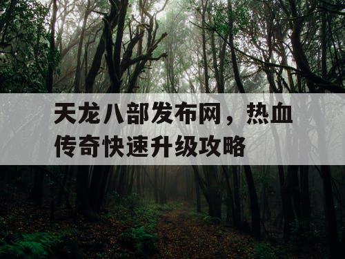 天龙八部发布网，热血传奇快速升级攻略