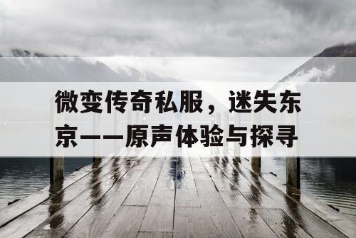 微变传奇私服，迷失东京——原声体验与探寻