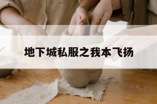 地下城私服之我本飞扬