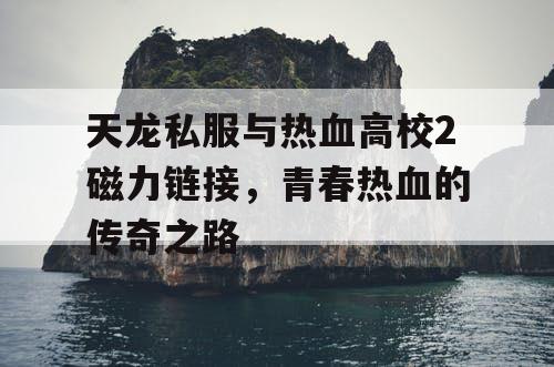 天龙私服与热血高校2磁力链接，青春热血的传奇之路