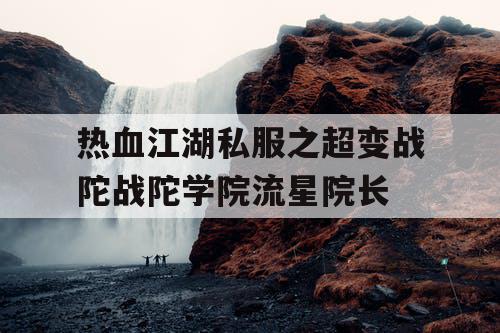 热血江湖私服之超变战陀战陀学院流星院长