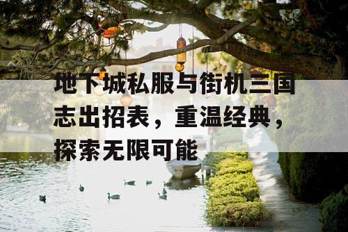 地下城私服与街机三国志出招表，重温经典，探索无限可能