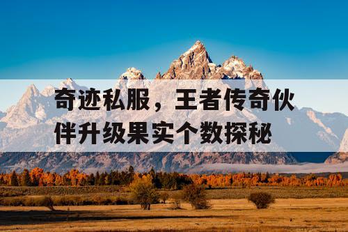 奇迹私服，王者传奇伙伴升级果实个数探秘