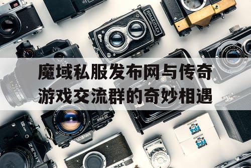 魔域私服发布网与传奇游戏交流群的奇妙相遇