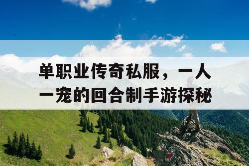 单职业传奇私服，一人一宠的回合制手游探秘