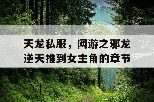 天龙私服，网游之邪龙逆天推到女主角的章节
