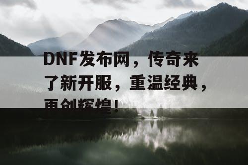 DNF发布网，传奇来了新开服，重温经典，再创辉煌！