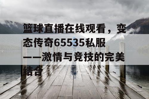 篮球直播在线观看，变态传奇65535私服——激情与竞技的完美结合