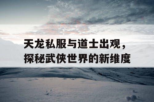 天龙私服与道士出观，探秘武侠世界的新维度