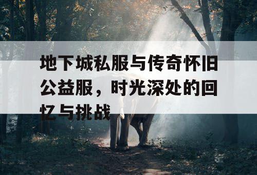 地下城私服与传奇怀旧公益服，时光深处的回忆与挑战