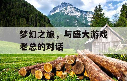 梦幻之旅，与盛大游戏老总的对话