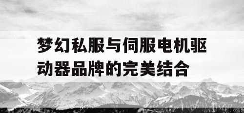 梦幻私服与伺服电机驱动器品牌的完美结合 梦幻私服与伺服电机驱动器品牌的完美结合