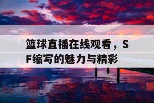 篮球直播在线观看，SF缩写的魅力与精彩
