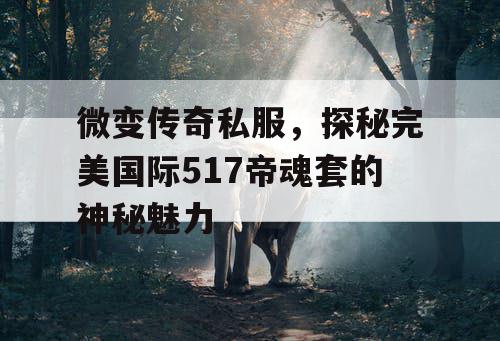 微变传奇私服，探秘完美国际517帝魂套的神秘魅力