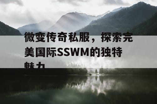 微变传奇私服，探索完美国际SSWM的独特魅力