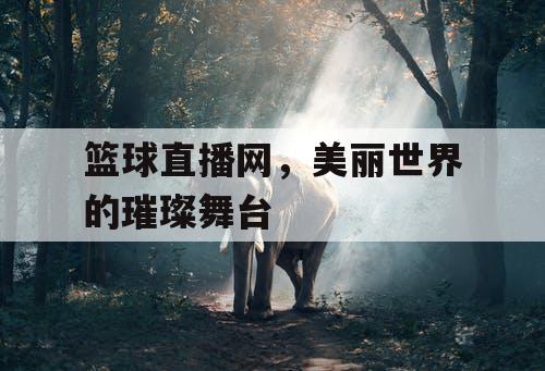 篮球直播网，美丽世界的璀璨舞台